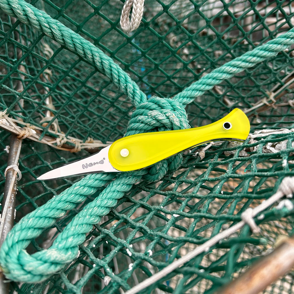 Couteau à huîtres Nemo Anis